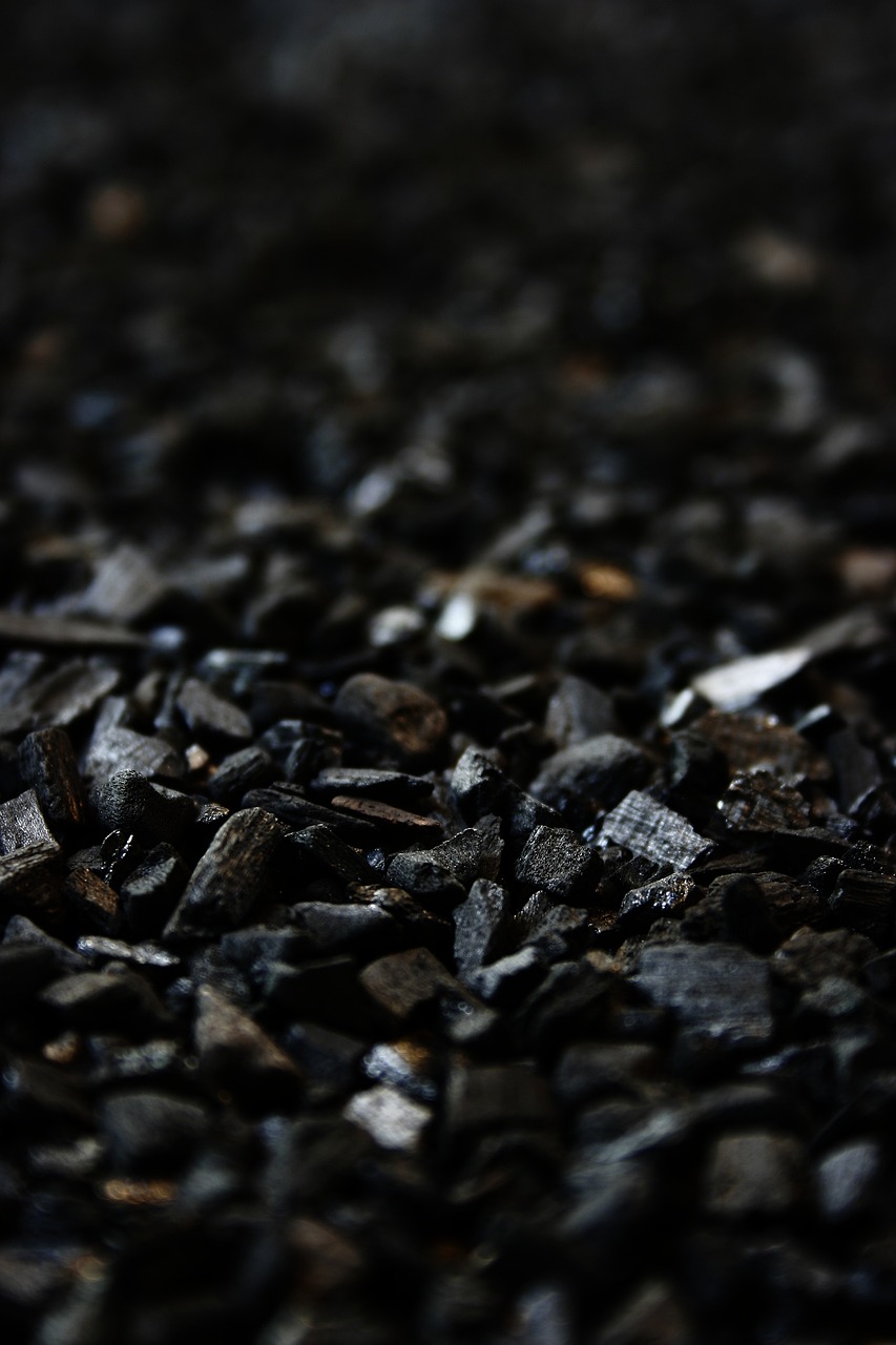 money, black, charcoal, grill briquettes, briquettes, grilling, filter carbon, charcoal, charcoal, charcoal, charcoal, charcoal