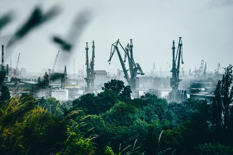 Foggy morning view of Gdańsk harbor with cranes and green foliage.